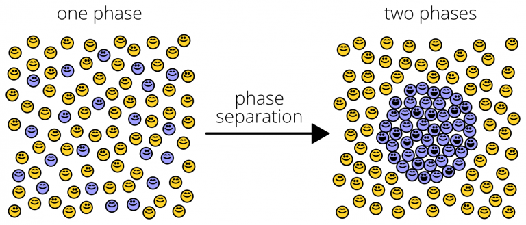 It’s not just a phase (separation) - BioScope