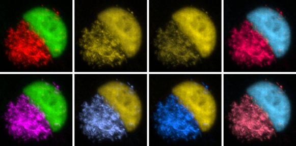 It's time to use fewer colors in scientific figures, some experts say, Science